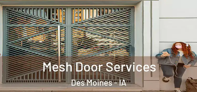 Mesh Door Services Des Moines - IA